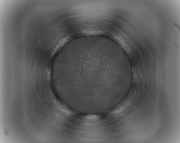 X0000091170357200708161503