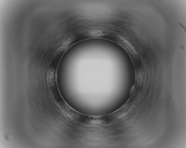 X0000091170360200708161503