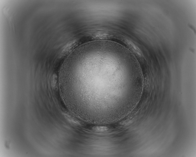 X0000091170361200708161503