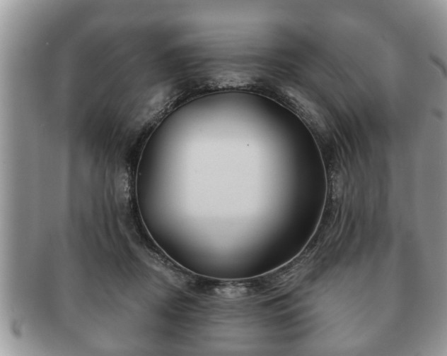 X0000091170362200708161503