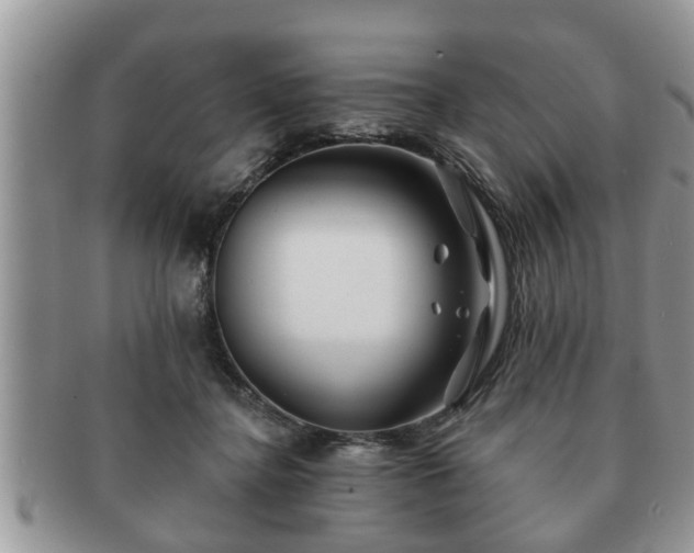 X0000091170364200708161503