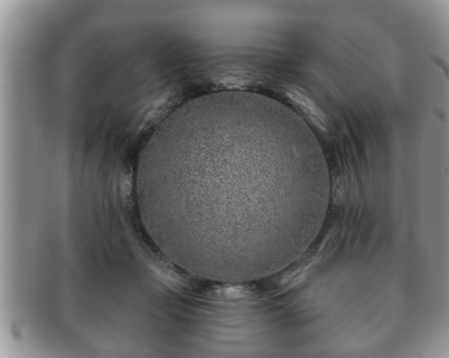 X0000091170365200708161503