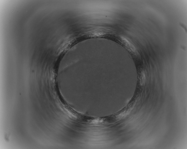 X0000091170366200708161503