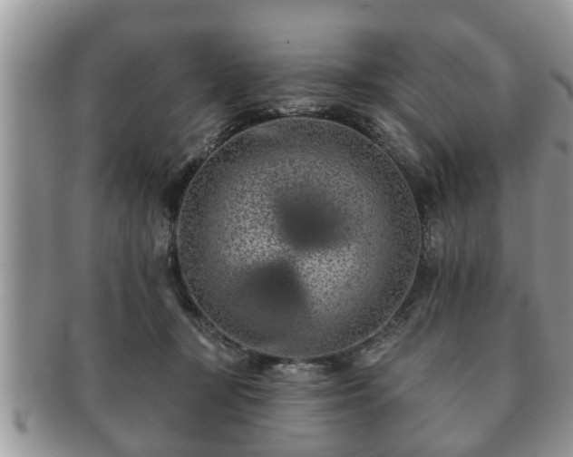 X0000091170367200708161503