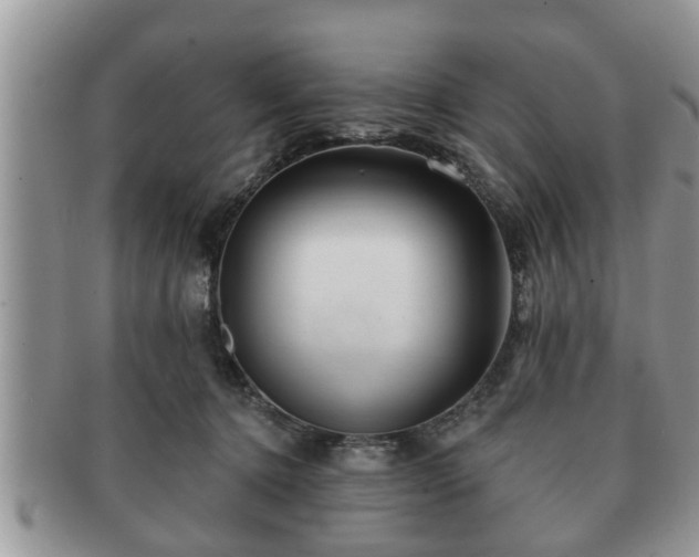 X0000091170368200708161503