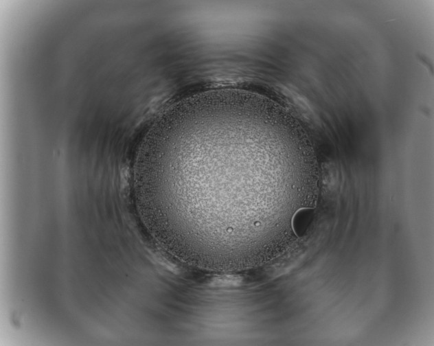 X0000091170369200708161503