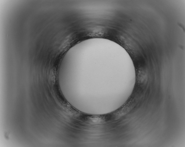 X0000091170370200708161503