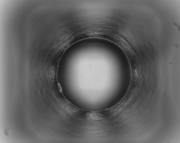 X0000091170372200708161503