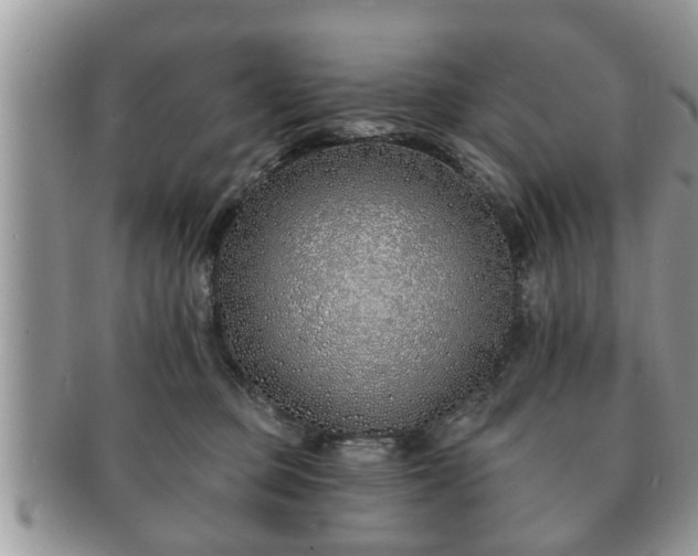 X0000091170373200708161503