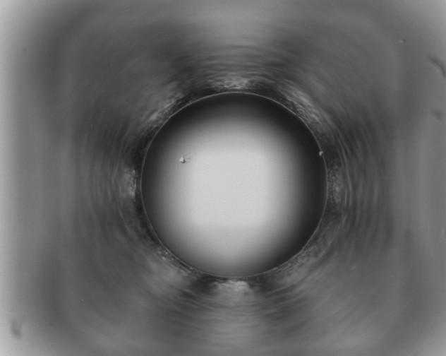 X0000091170374200708161503