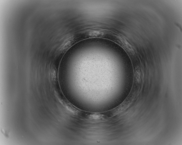 X0000091170375200708161503