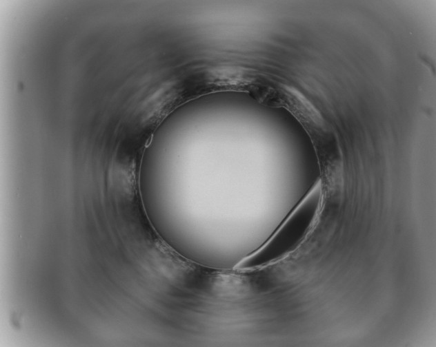 X0000091170376200708161503