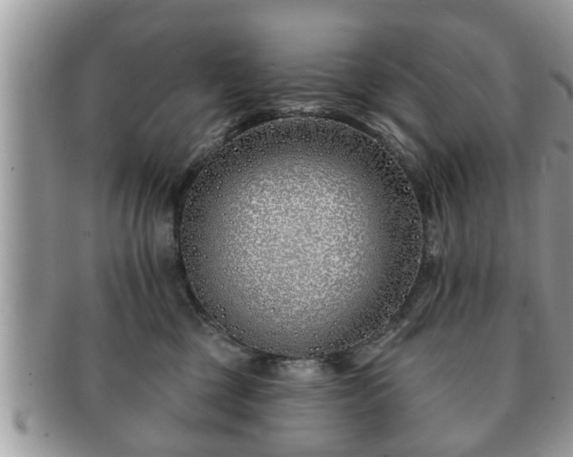 X0000091170377200708161503