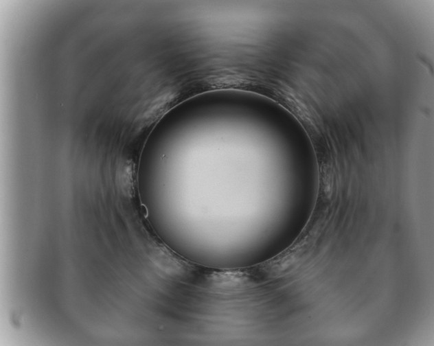 X0000091170378200708161503