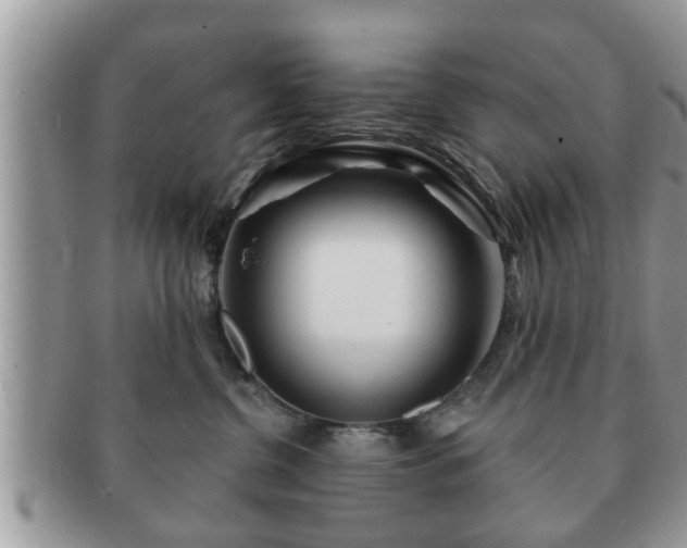 X0000091170380200708161503