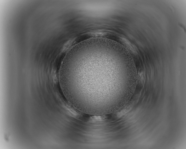 X0000091170381200708161503