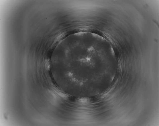 X0000091170383200708161503