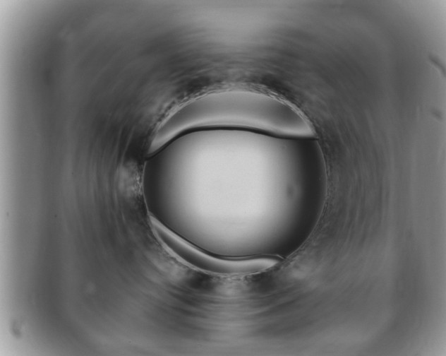 X0000091170384200708161503