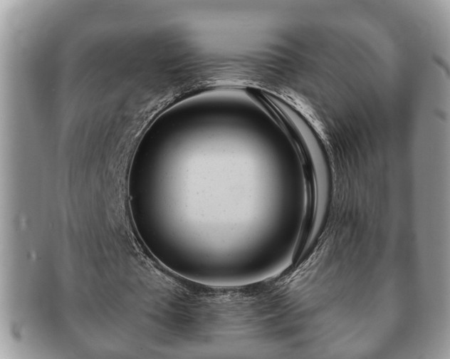 X0000091170385200708161503