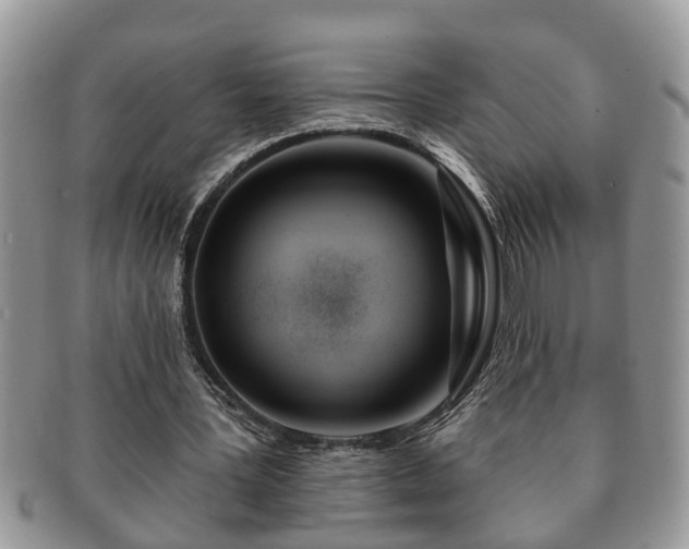 X0000091170387200708161503