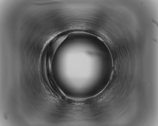 X0000091170388200708161503