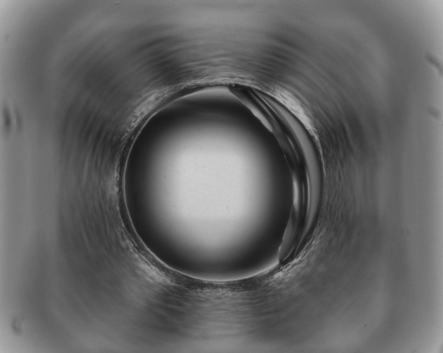 X0000091170389200708161503