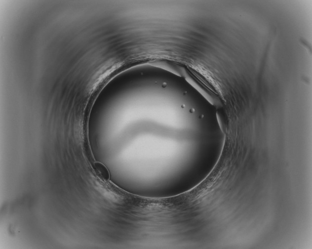 X0000091170390200708161503