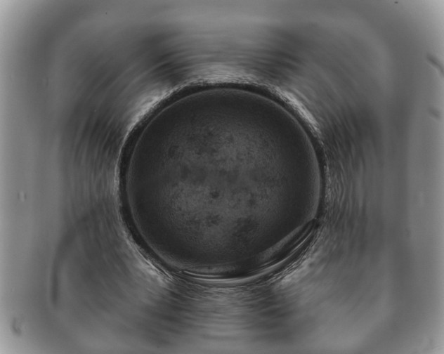 X0000091170391200708161503