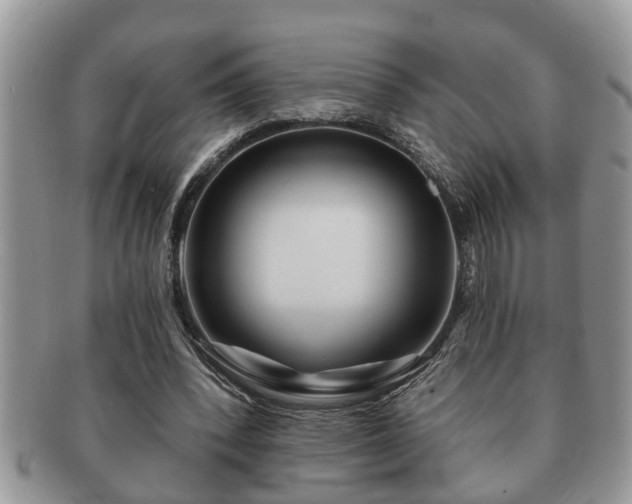 X0000091170392200708161503