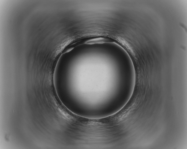 X0000091170393200708161503