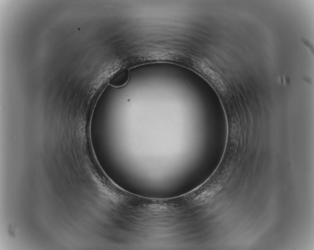 X0000091170394200708161503