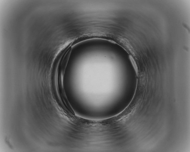 X0000091170395200708161503