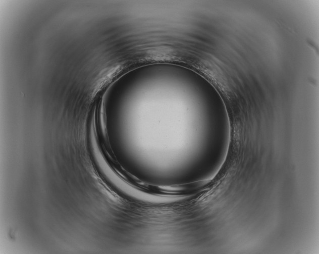 X0000091170397200708161503