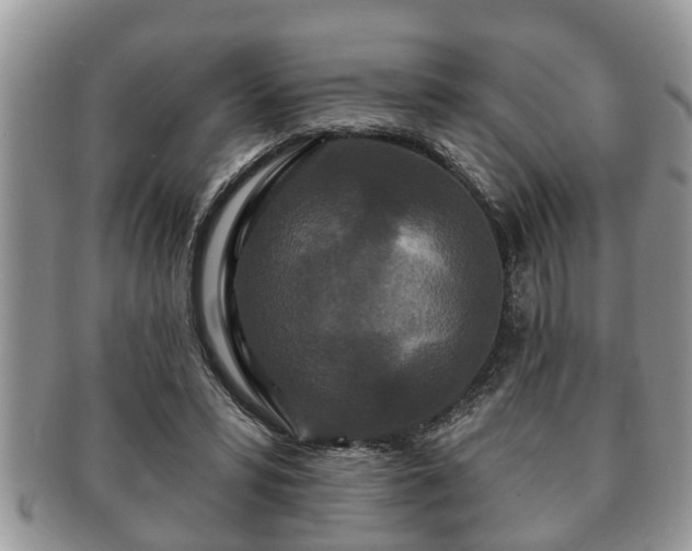 X0000091170399200708161503