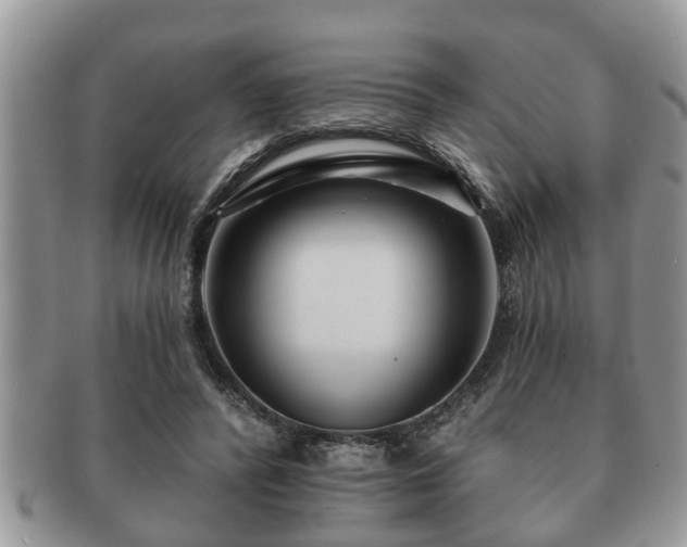 X0000091170400200708161503