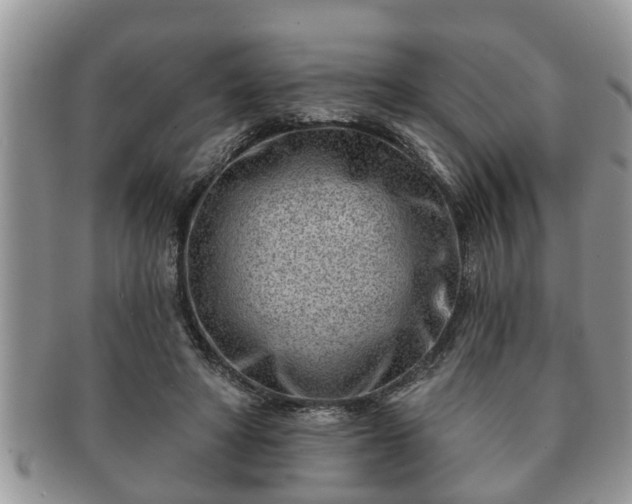 X0000091170402200708161503