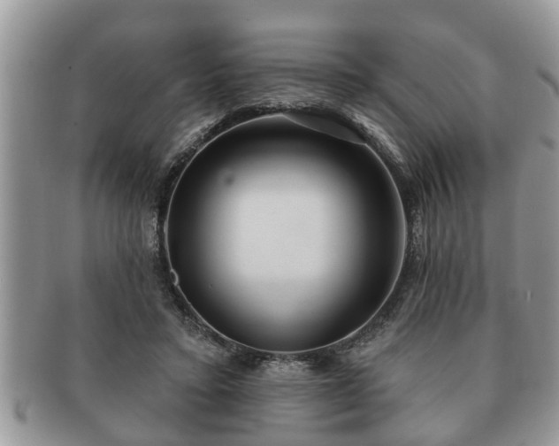 X0000091170403200708161503