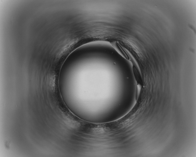 X0000091170404200708161502