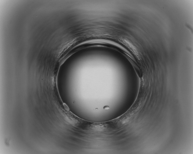 X0000091170405200708161502