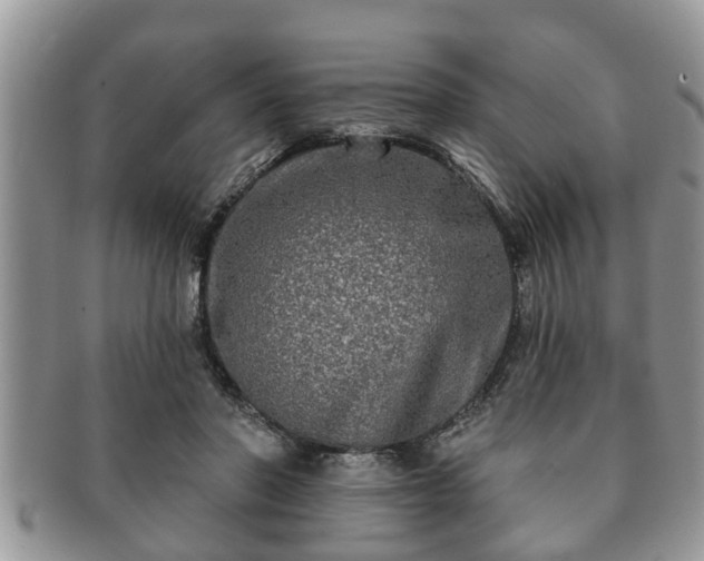 X0000091170406200708161502