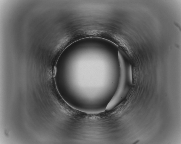 X0000091170407200708161502