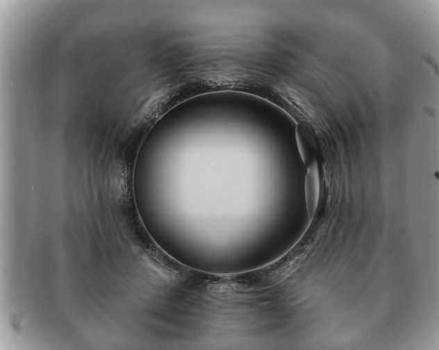 X0000091170408200708161502