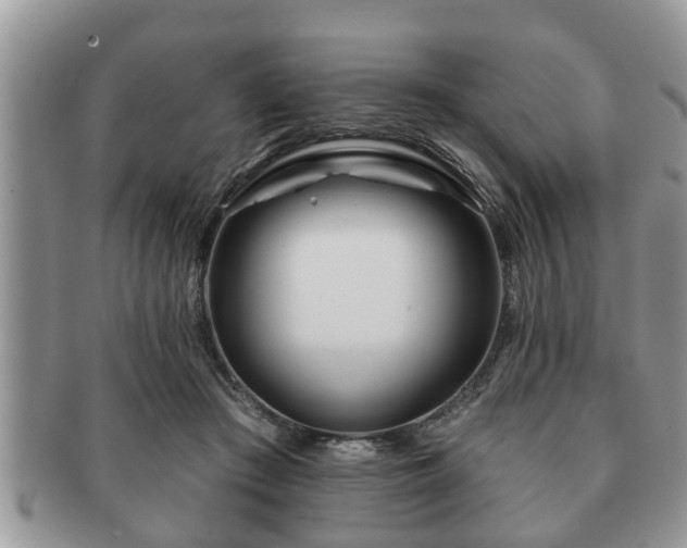 X0000091170409200708161502