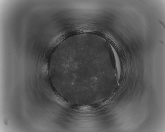 X0000091170410200708161502