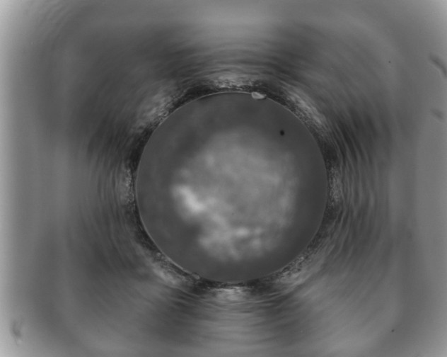 X0000091170411200708161502