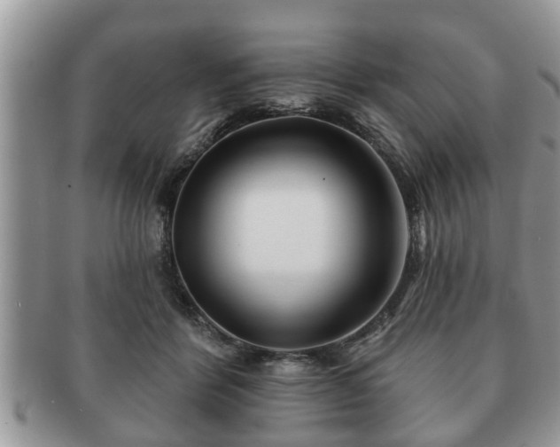 X0000091170412200708161502