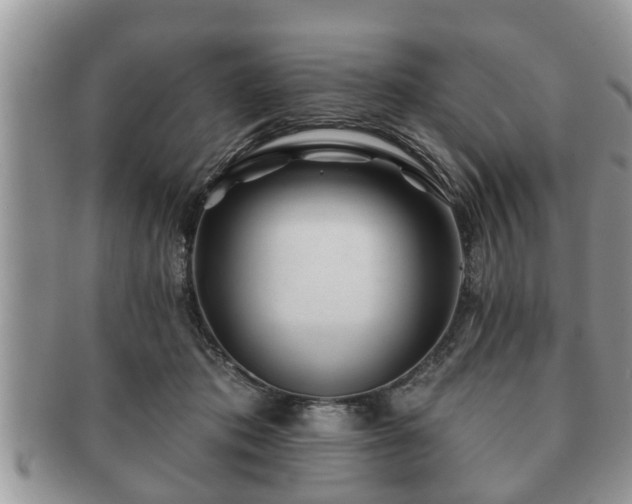 X0000091170413200708161502