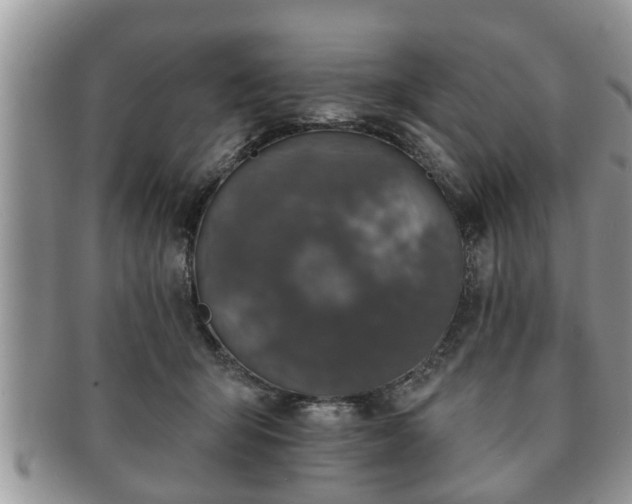 X0000091170415200708161502