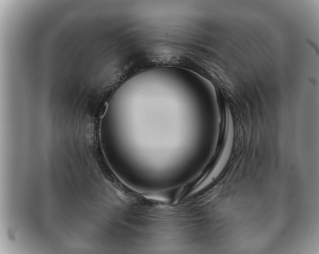 X0000091170416200708161502