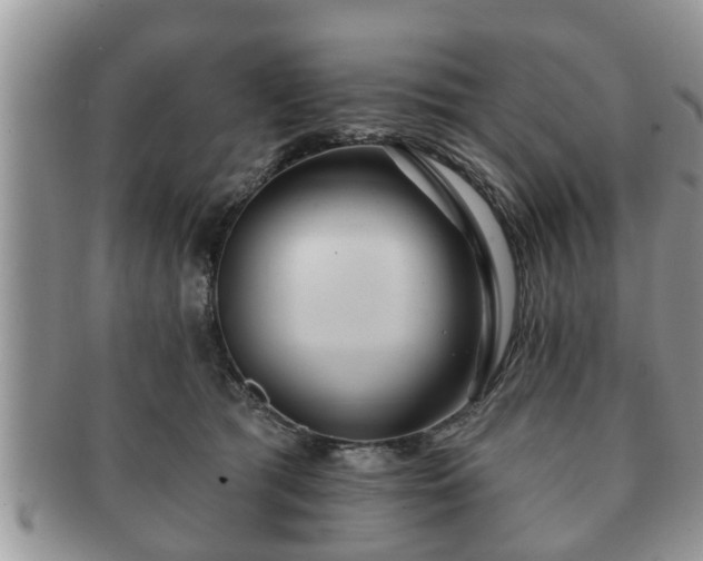 X0000091170417200708161502